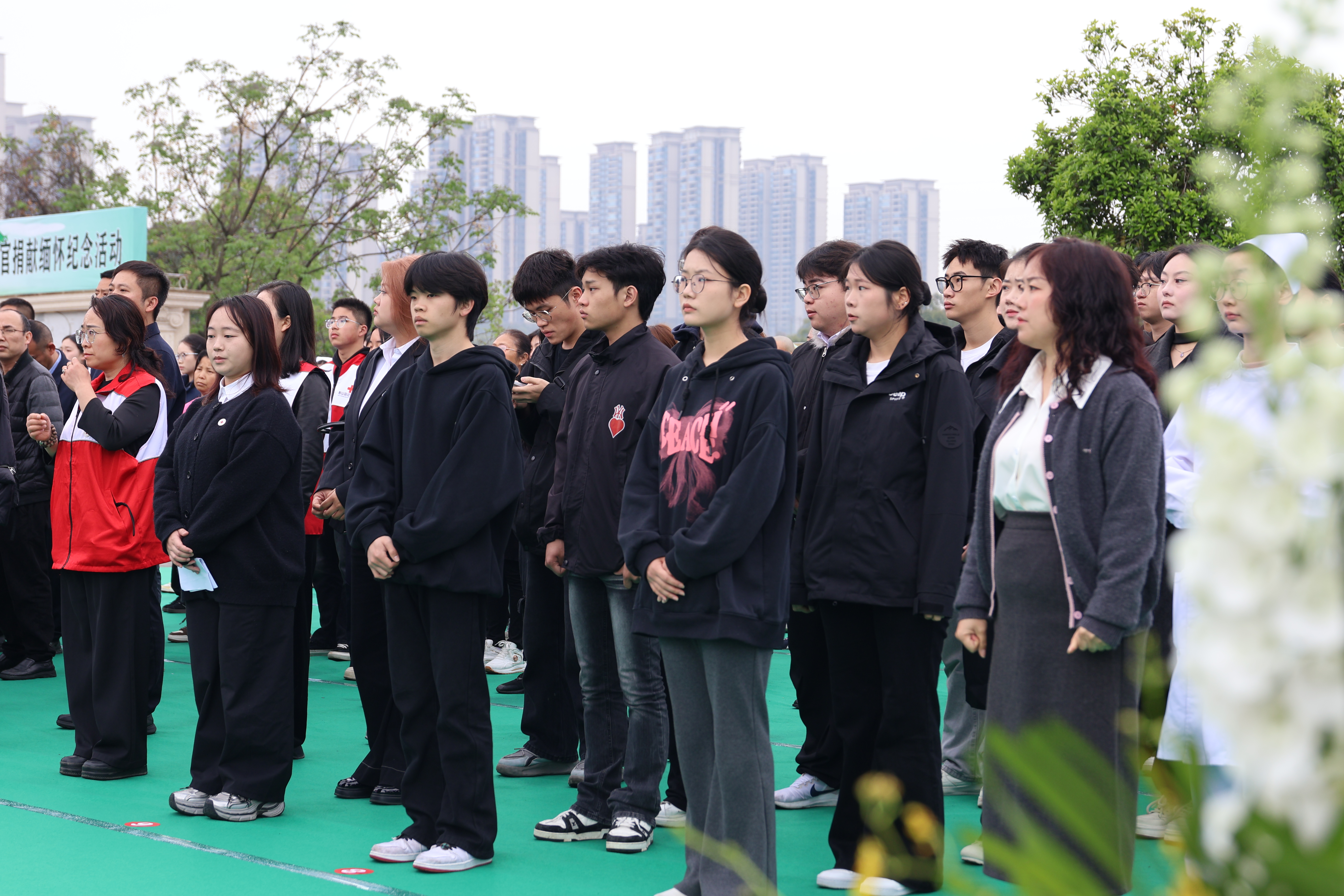 1775233646385995.jpg 1775233646385995.jpg